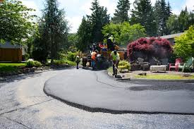 Best Driveway Border and Edging  in Doney Park, AZ